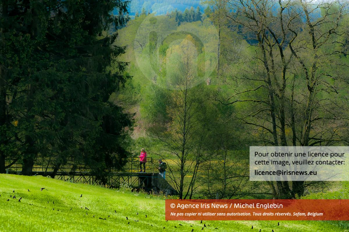 Marche ADEPS, Point Vert dans la salle de La Corteille