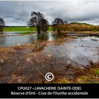 Carte postale – Crue de l’Ourthe Occidentale dans la Réserve d’Orti de Lavacherie