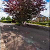 Carte postale – Arbre de la victoire et Notre-Dame de Beauraing