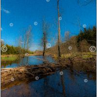 Carte postale – Ardenne Merveilleuse, Paysage de Fagnes